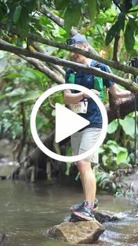 BIB:  <button type="button" onclick="openModal(27800781)" class="btn btn-primary btn-sm float-right" data-toggle="modal" data-target=".modal-high-quality">
                <i class="fa fa-download"></i> Download
                </button>